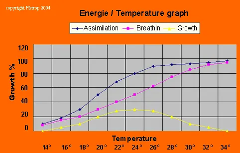 Rastoča temperatura / energija